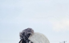 99亚洲精品色情无码久久